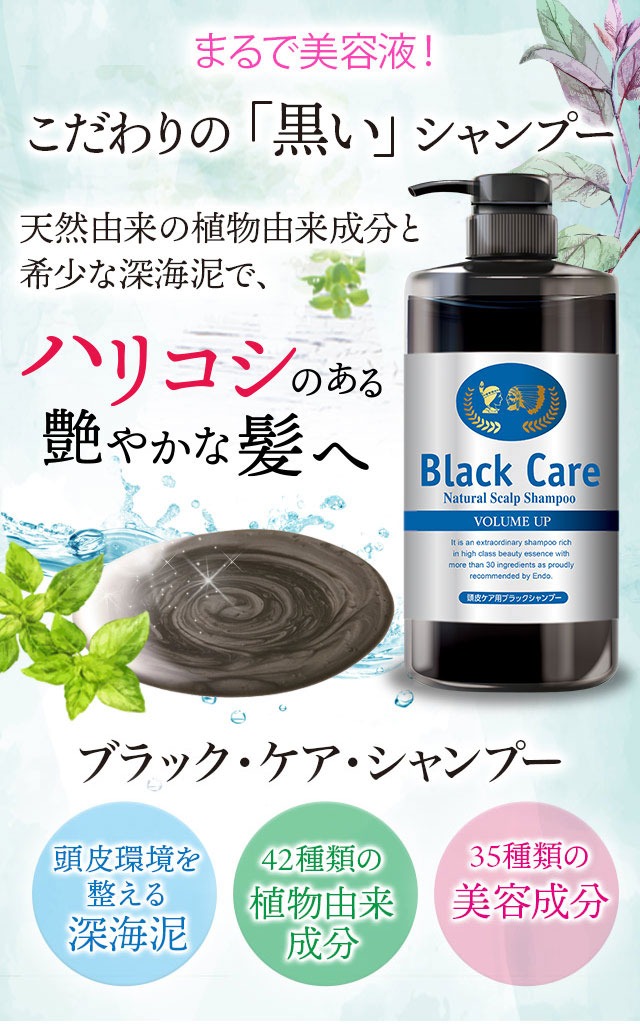Black Care ブラックケアシャンプーKD 600ml 2本セット リンス