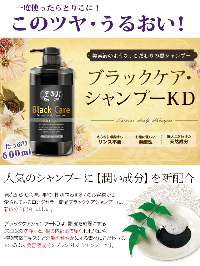 あをにょし ブラックシャンプー 3本セット(ダークブラウン) Black Care ブラックケアシャンプーKD 600ml 6本セット リンス