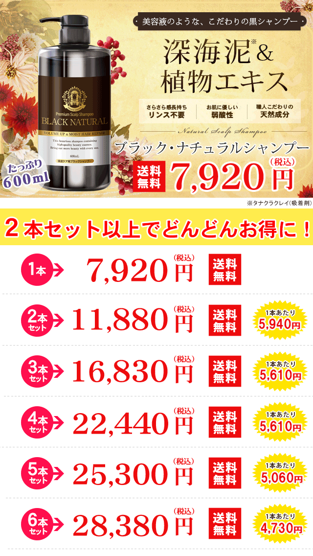 Black Care ブラック・ナチュラルシャンプー 600ml 6本セット