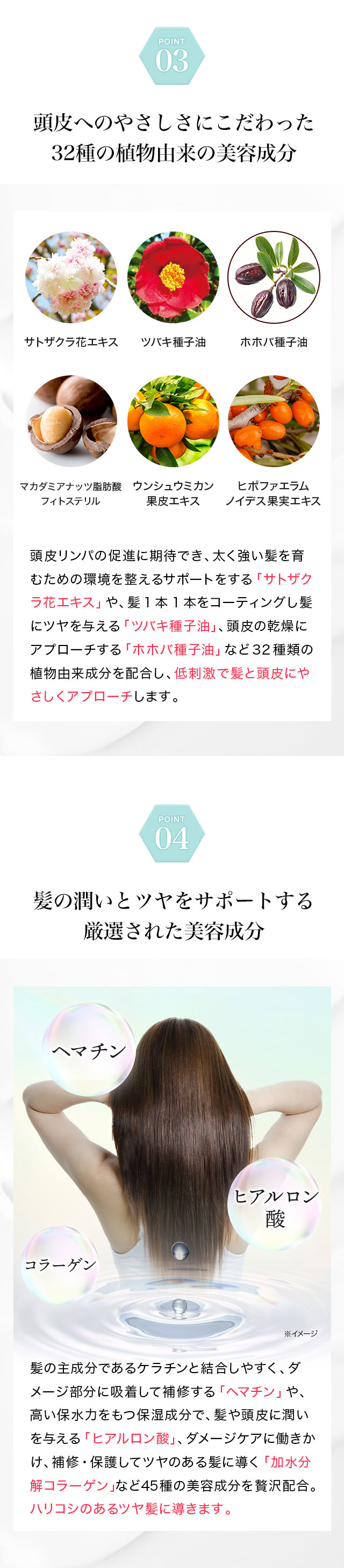 Black Care ブラック・ナチュラルシャンプー 600ml 1本 ブラック