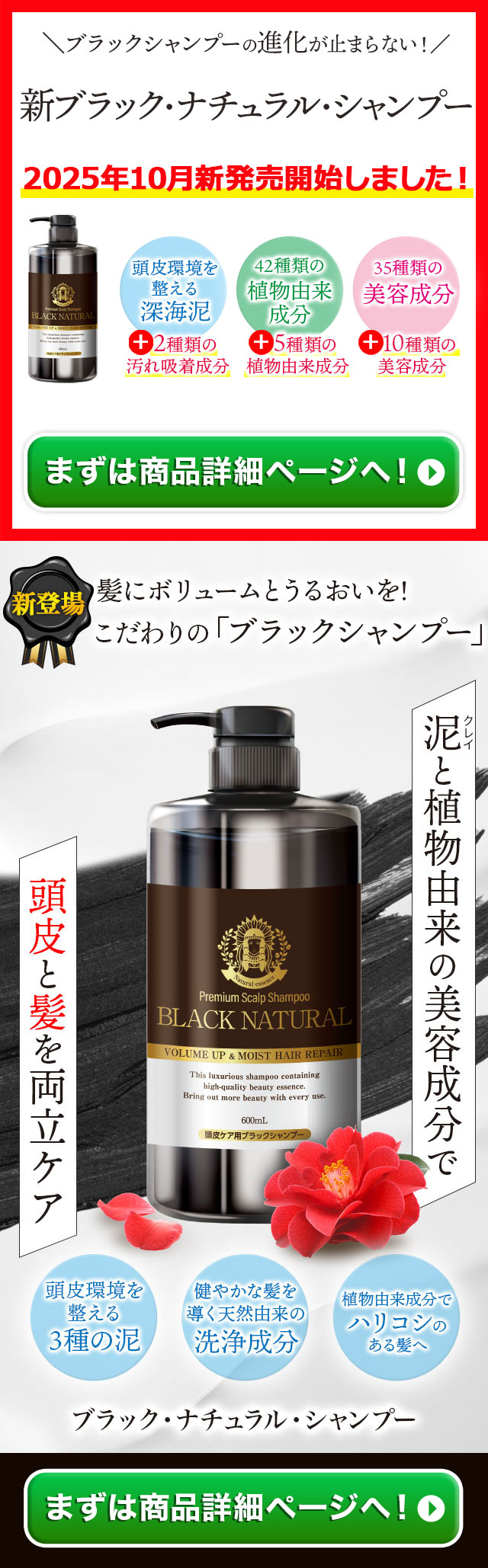 ブラックケアシャンプーKD 600ml 2本セット リンス不要 頭皮ケア