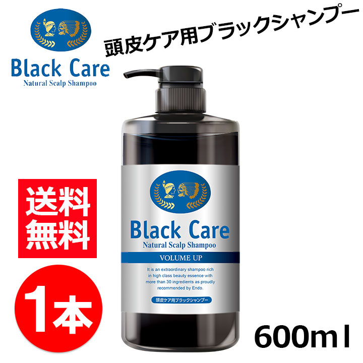 ブラックケアシャンプー 600ｍl 1本 ヘアケア 美容液 ※新ボトル