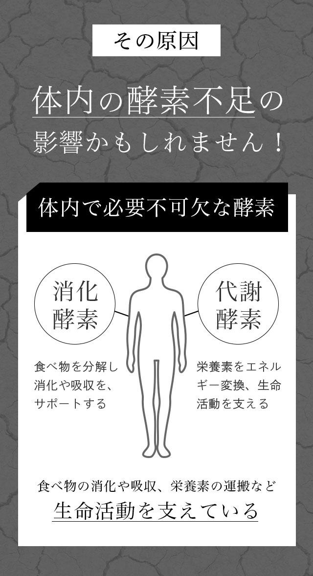 エクソソーム酵素 500ml 1本 酵素ドリンク 野草酵素 エクソソーム