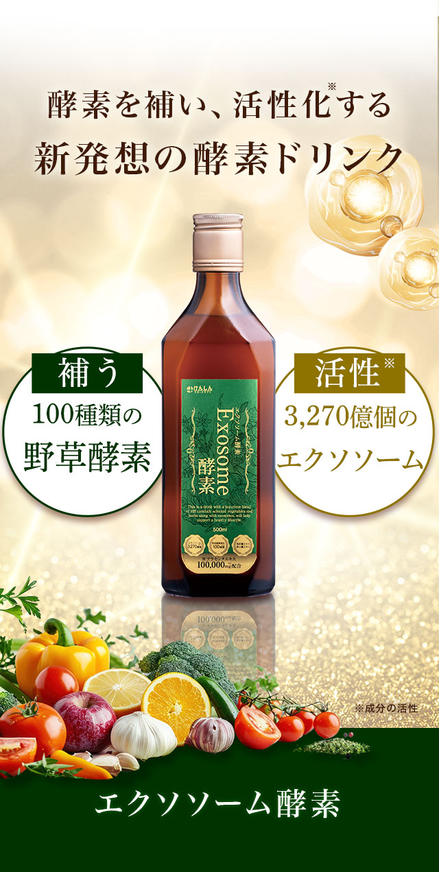 エクソソーム酵素 500ml 1本 酵素ドリンク 野草酵素 エクソソーム