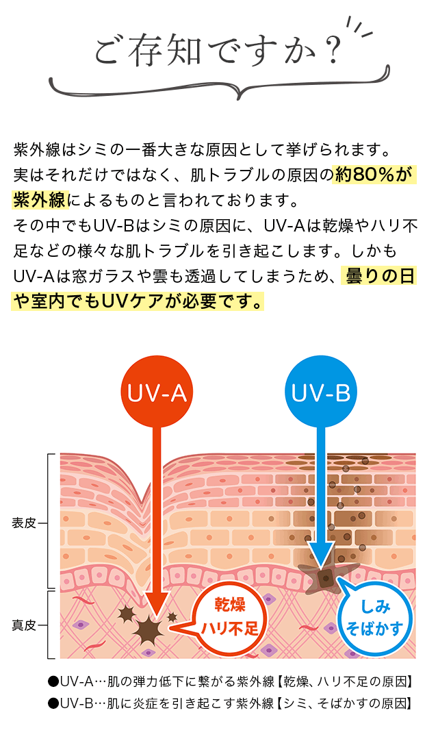 白酵（HAKKOH） 日焼け止め プロテクション UVクリーム 50g 1個 SPF50+
