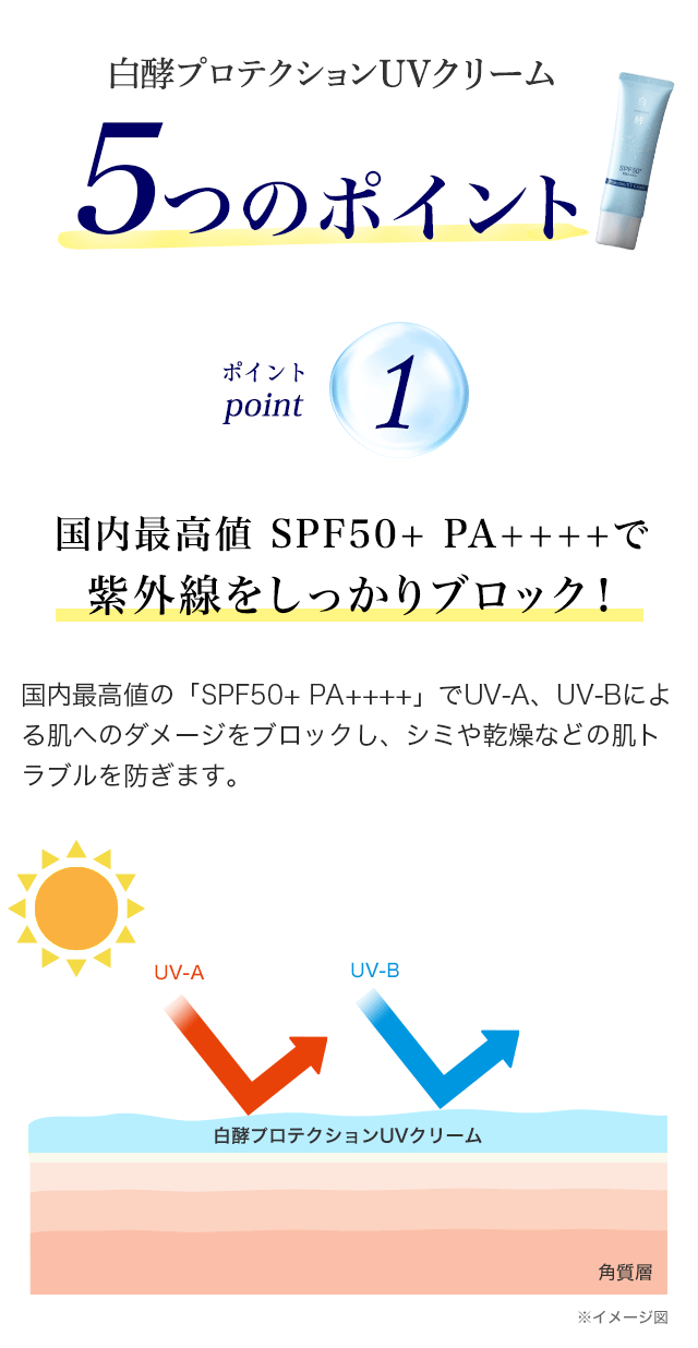 白酵 日焼け止め プロテクション UVクリーム 50g 1個 SPF50+