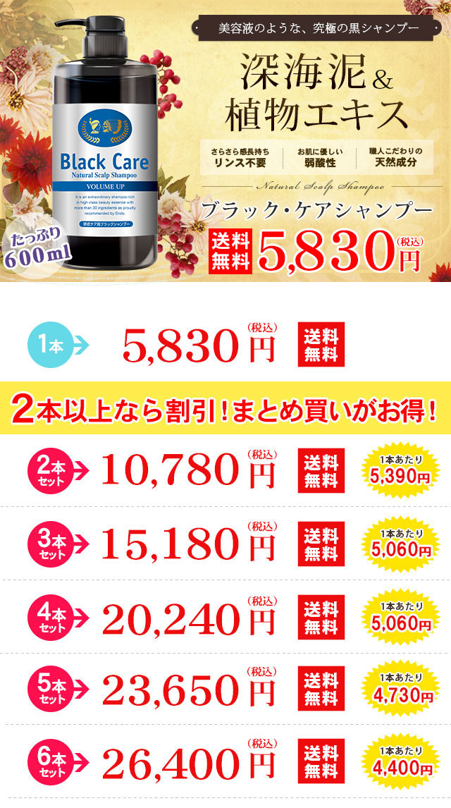 Black Care ブラックケアシャンプー 600ml 1本 ヘアケア 美容液