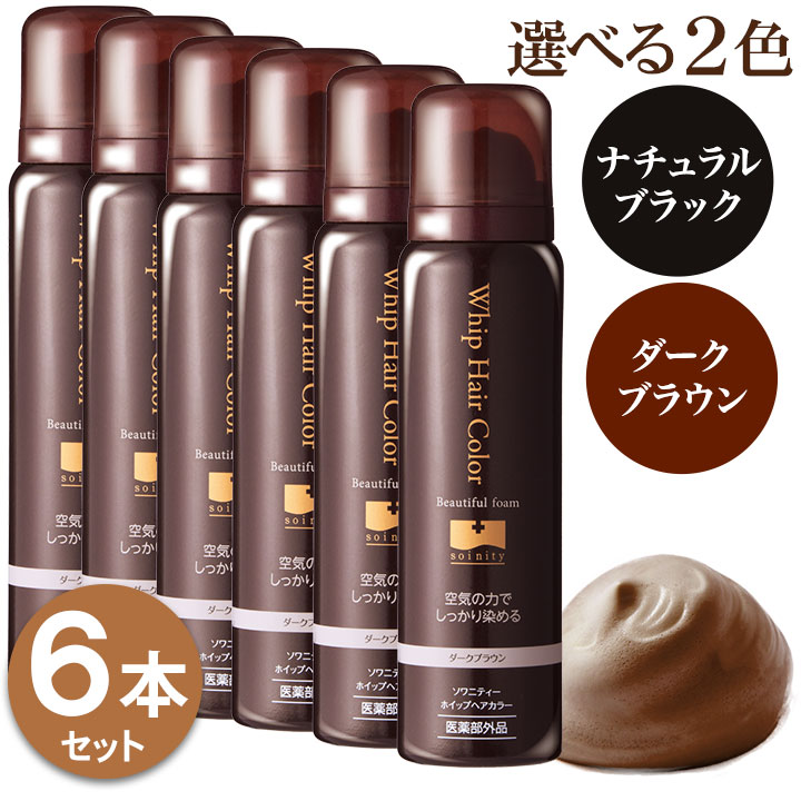 初回限定40％OFF 白髪染め ソワニティー ホイップへアカラー 80g 1本