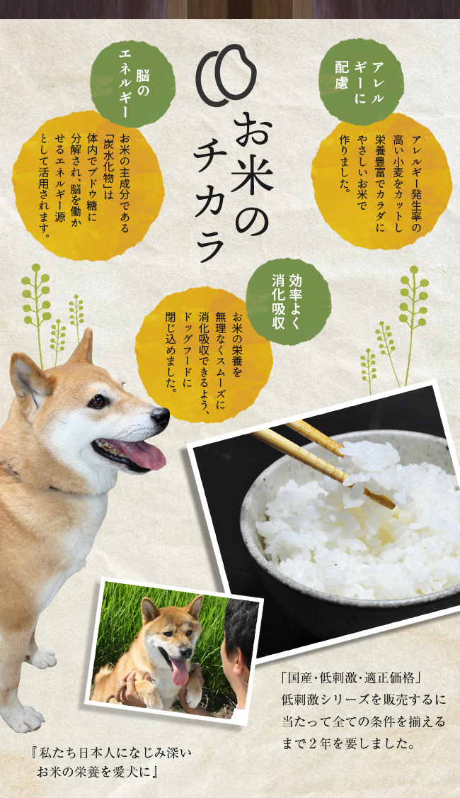お米のちから