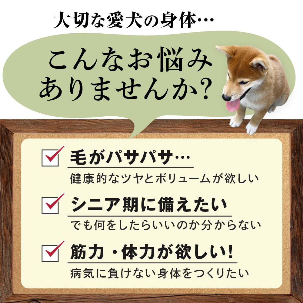 【リニューアル!】　Native Dog サプリメント アミラル（100g）｜nativedog｜02