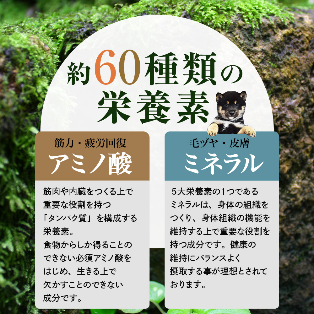【リニューアル!】　Native Dog サプリメント アミラル（100g）｜nativedog｜04