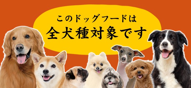 全犬種対応
