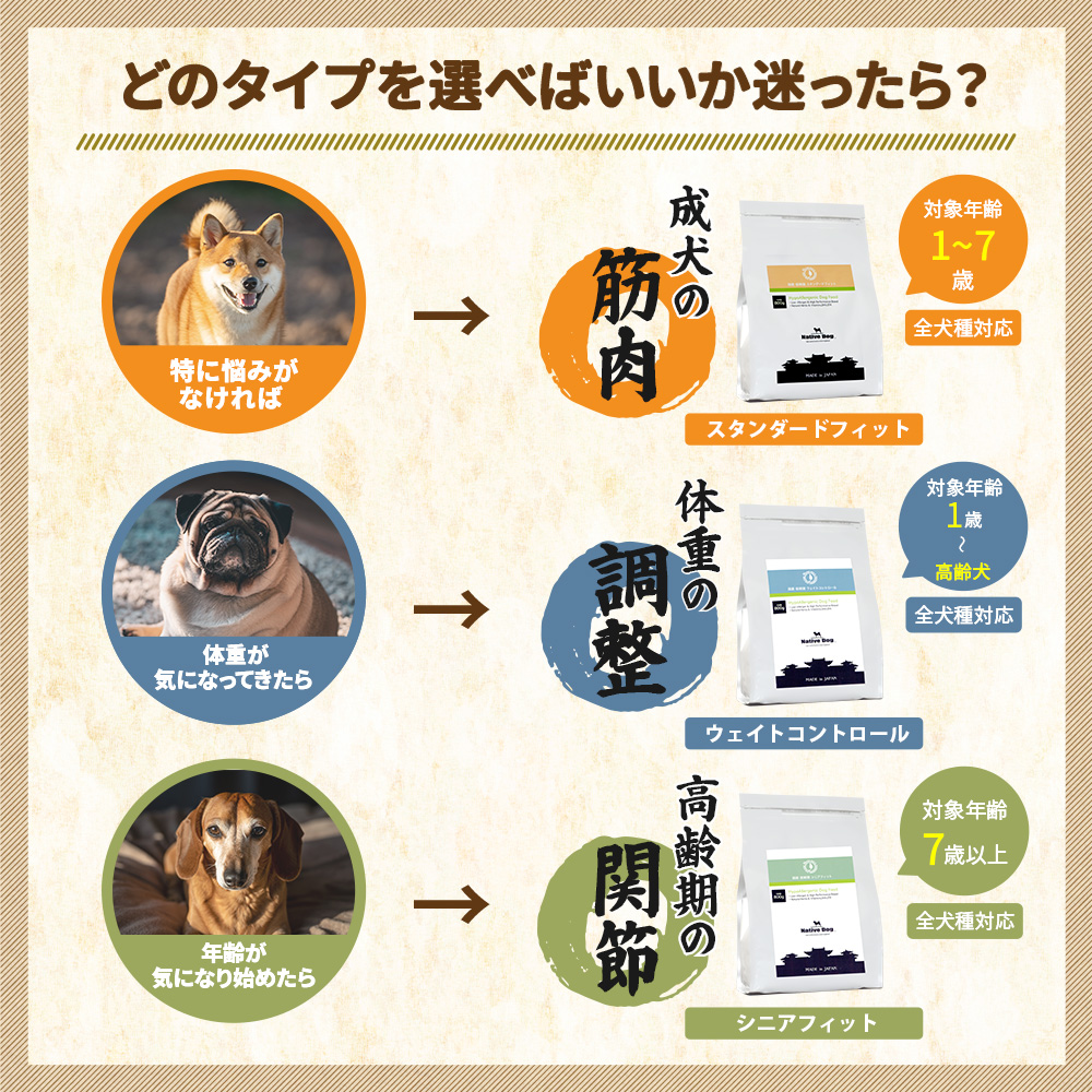 詳細 おもちゃ