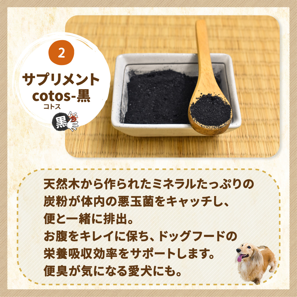 詳細 おもちゃ