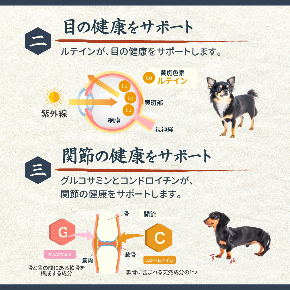 ネイティブドッグ ドッグフード 国産 京陸（けいろく）1.2kg マルチ