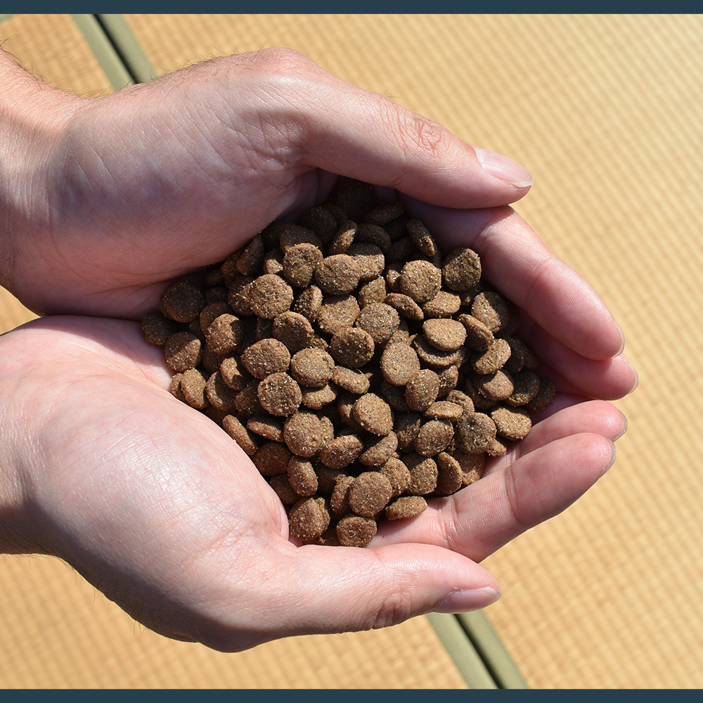 ネイティブドッグ ドッグフード 国産 京陸（けいろく）1.2kg マルチ