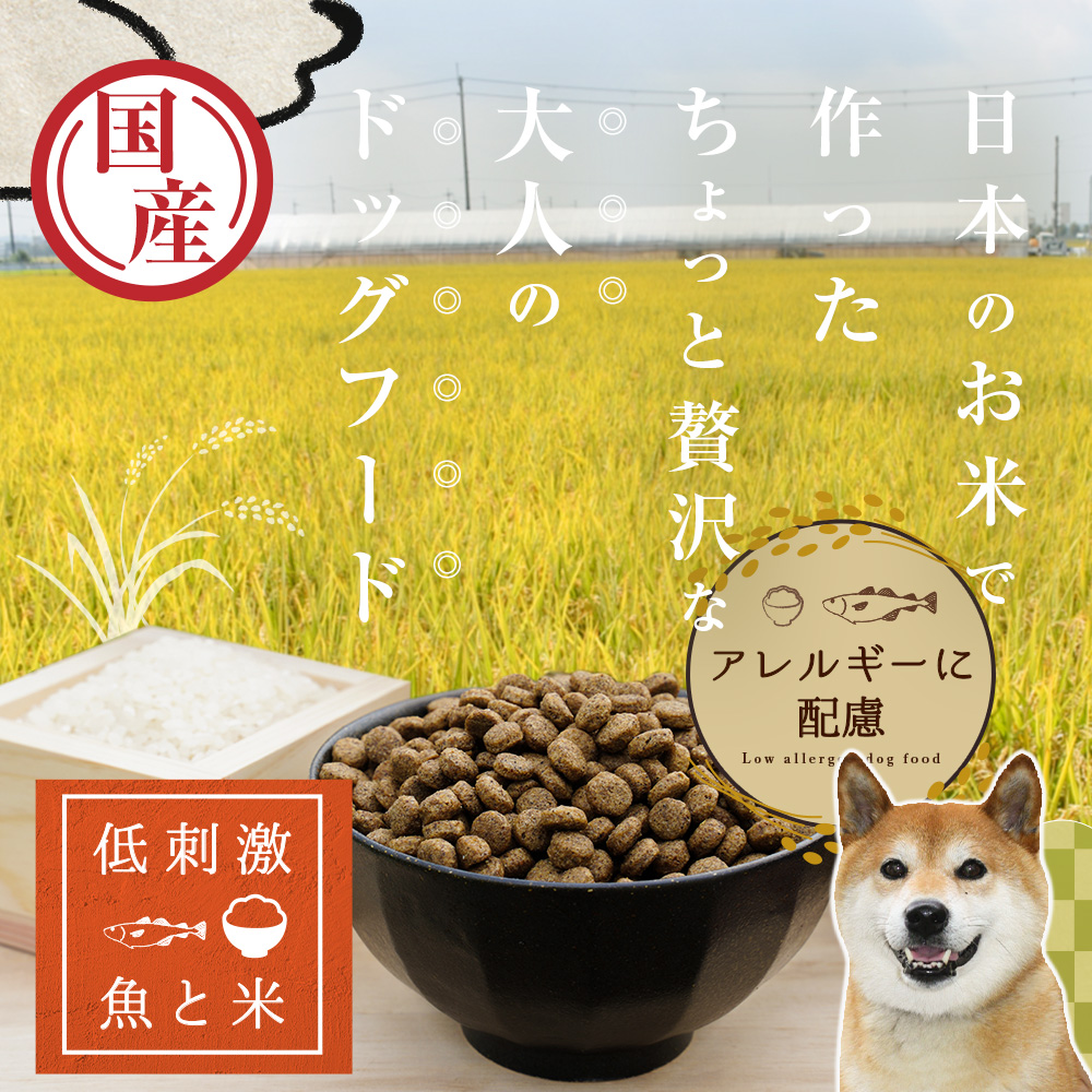 低刺激　TOP