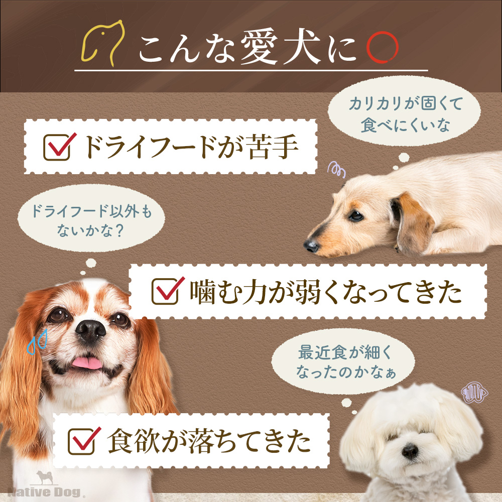 PetPro 国産 半生ドッグフード オッティモ プレミオ 馬肉 360g（ 300g