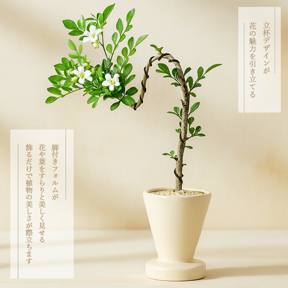 植木鉢 flower pot 花瓶 フラワーポット 陶磁器 鉢 ニュアンスカラー