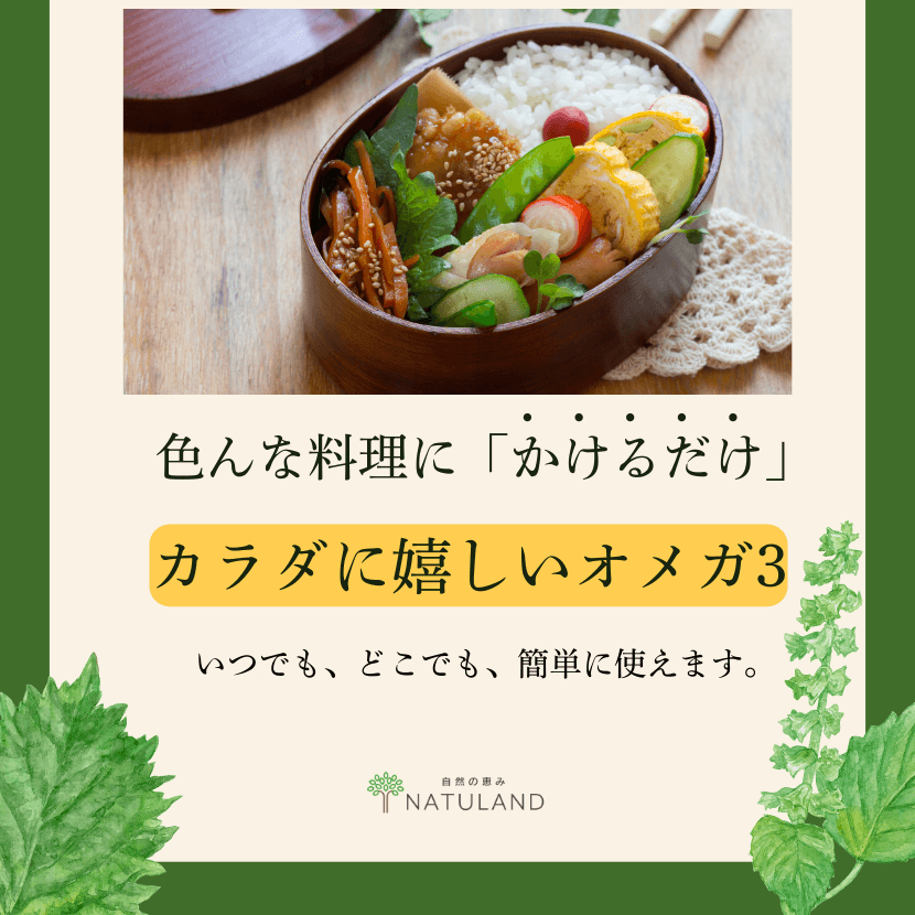朝日鷹の商品一覧 通販 - Yahoo!ショッピング