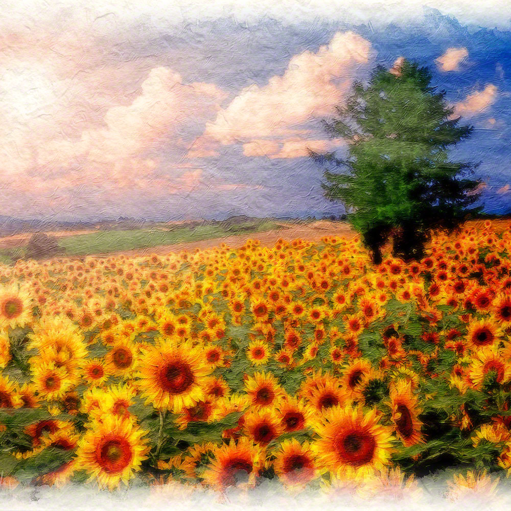 絵画 インテリア 北欧 玄関 風水 絵 風景画 版画 油絵 和紙の絵写真 アートフレーム 額縁付き 黄色 夏 花 「太陽とひまわり畑の丘とカラマツの木」