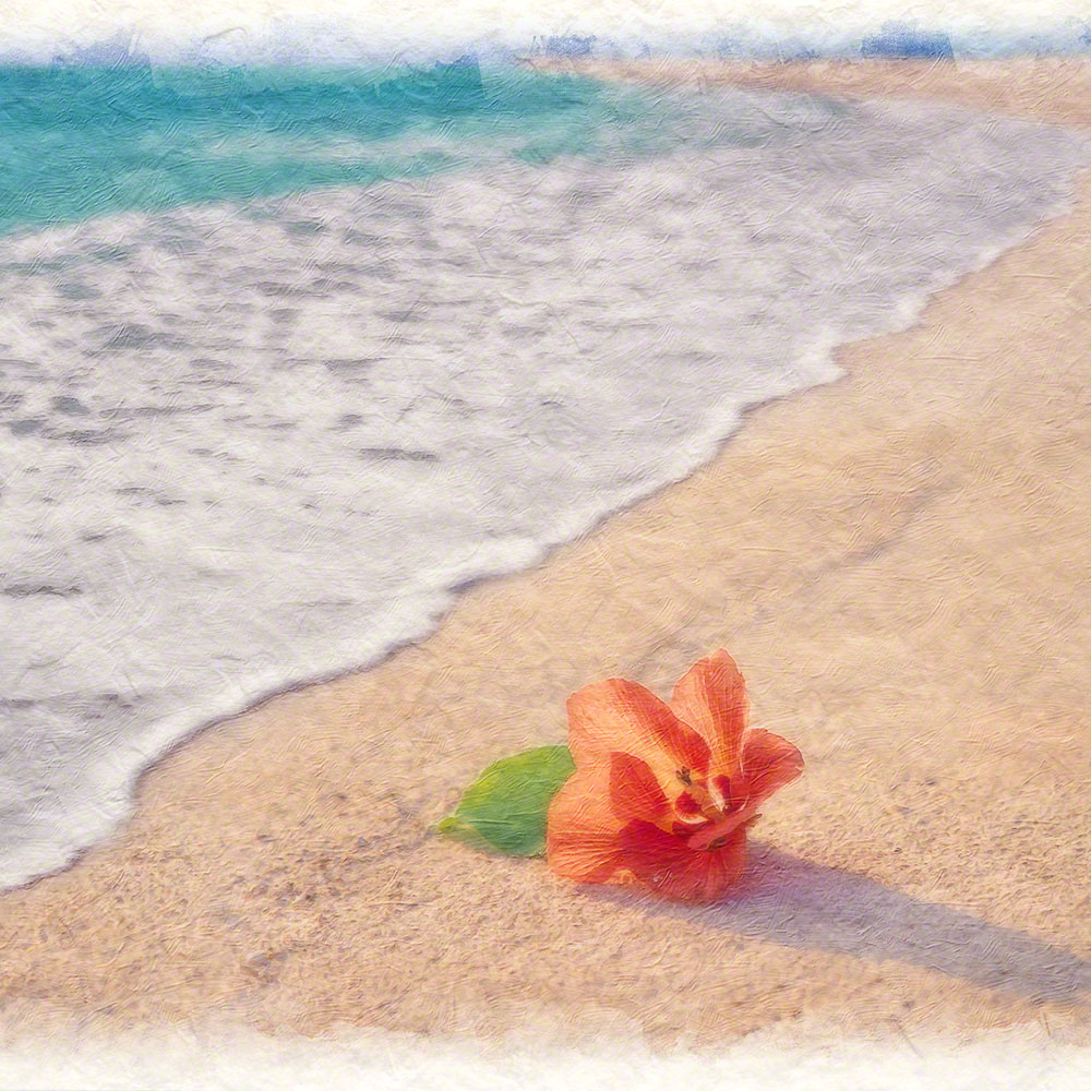 絵画 インテリア 玄関 風水 絵 風景画 版画 油絵 和紙の絵写真 アートパネル 夏 海 花 赤 波の寄せる砂浜のハイビスカス Frame Nami Hibiscus インテリアアート Naturalmemories 通販 Yahoo ショッピング 絵画 インテリア 玄関 風水 絵 風景画 版画 油絵 和紙の絵写真 アートパネル 夏 海 花 赤 波の寄せる砂浜のハイビスカス Frame Nami Hibiscus インテリアアート Naturalmemories 通販 Yahoo ショッピング