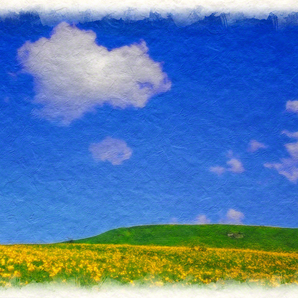 絵画 インテリア 北欧 玄関 風水 絵 風景画 版画 油絵 和紙の絵写真 アートパネル 花 夏 空 青 黄色 「白い雲とニッコウキスゲの丘」