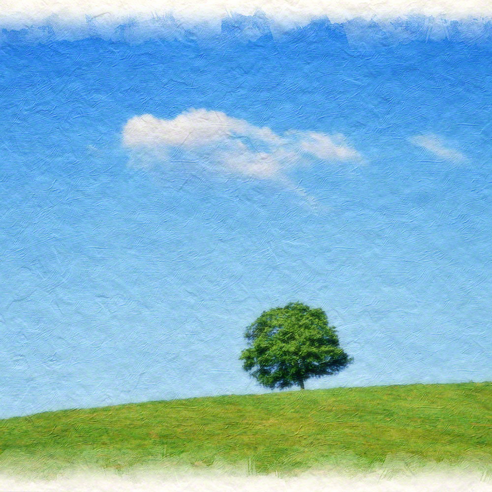 ポスター インテリア 北欧 おしゃれ 風景 和紙の絵写真 アートフレーム 額縁付き 空 青 「丘の木とはぐれ雲」｜natum｜03