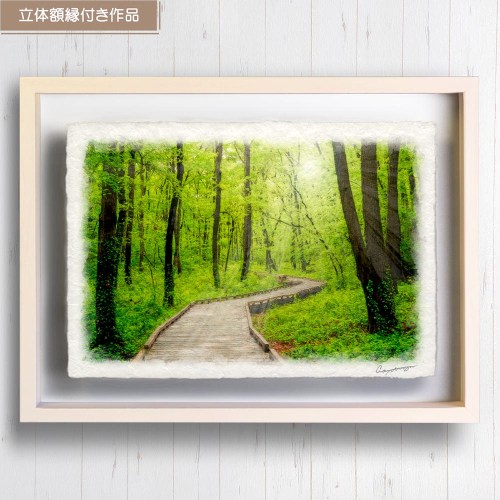 和紙の絵写真 「雨上がりの新緑の木道」 絵画 インテリア 玄関 風景画