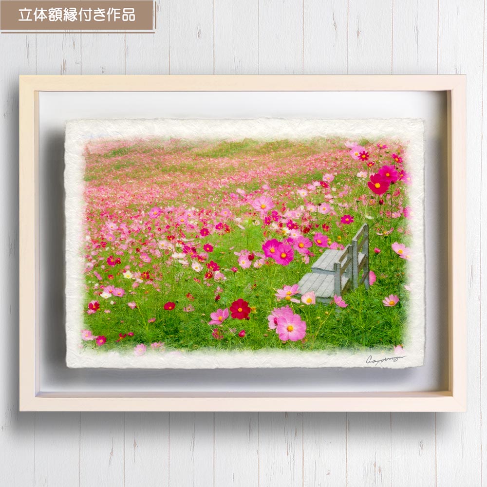 ポスター インテリア 北欧 おしゃれ 風景 和紙の絵写真 アートフレーム 額縁付き 花 秋 ピンク 「一面のコスモス畑の白い椅子」 |  | 01