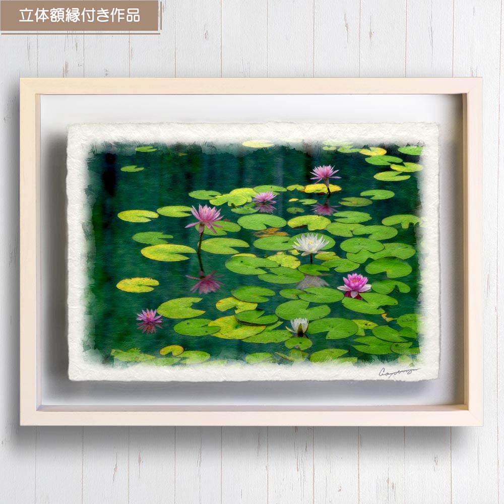 風水 玄関 に 飾る 絵 画 和紙の絵写真 「水面に浮かぶ睡蓮の花