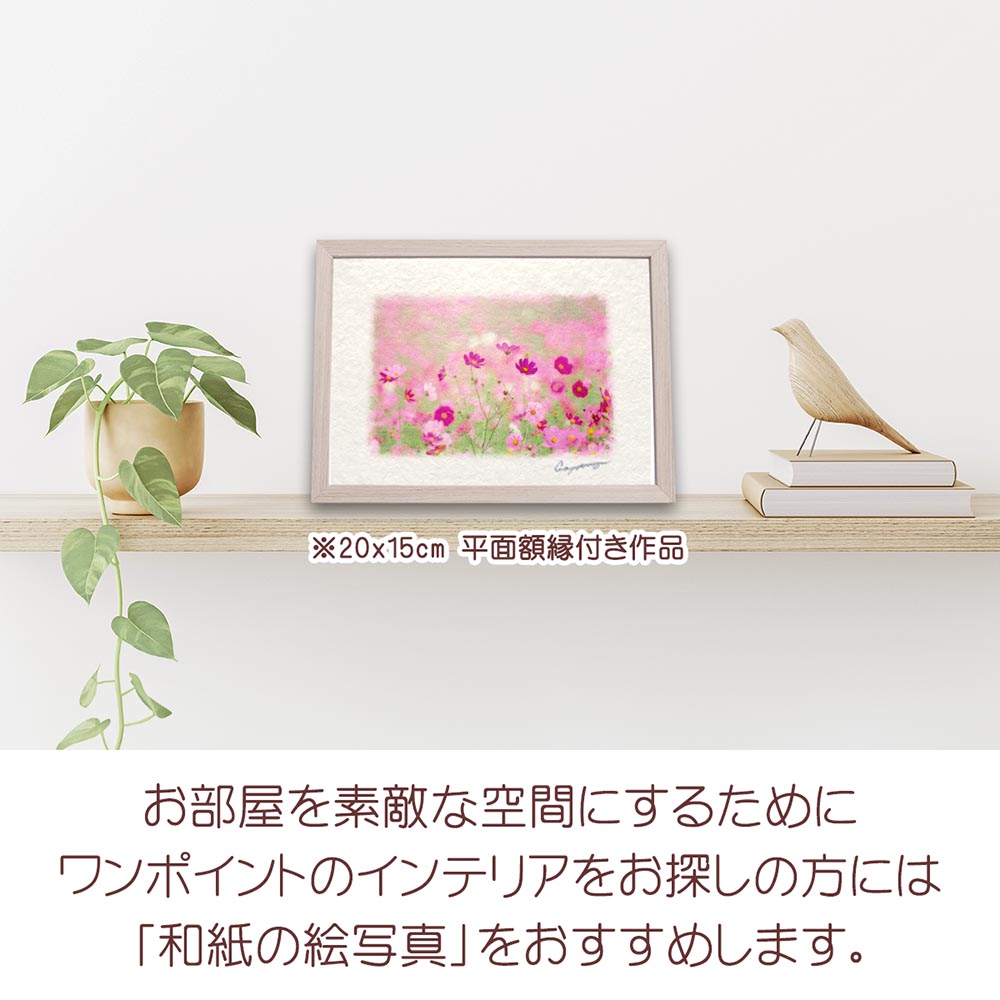 新築祝い 絵 画 和紙の絵写真 「霧の中のコスモス畑の赤い花」 秋 花の