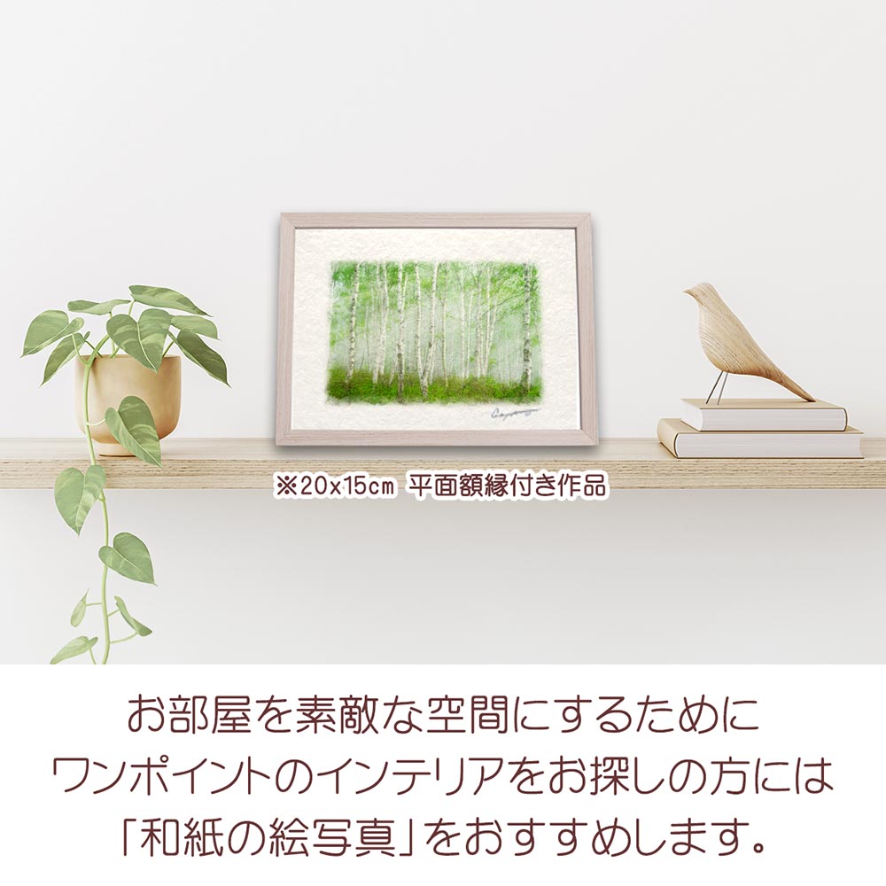 和紙の絵写真 「霧の新緑の白樺林と木漏れ日」 絵画 インテリア