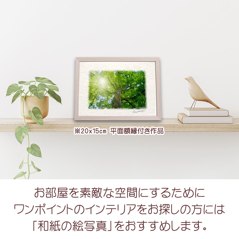 ムツゴロウ 絵のおすすめ人気商品一覧 通販 - Yahoo!ショッピング