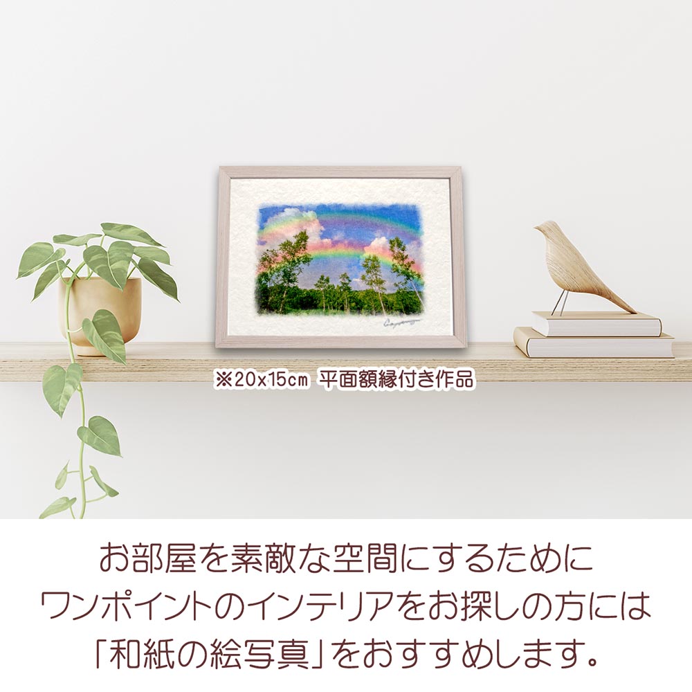 虹の絵 風水 虹の橋 和紙の絵写真 「虹と入道雲と白樺林」 夏 木 森 山
