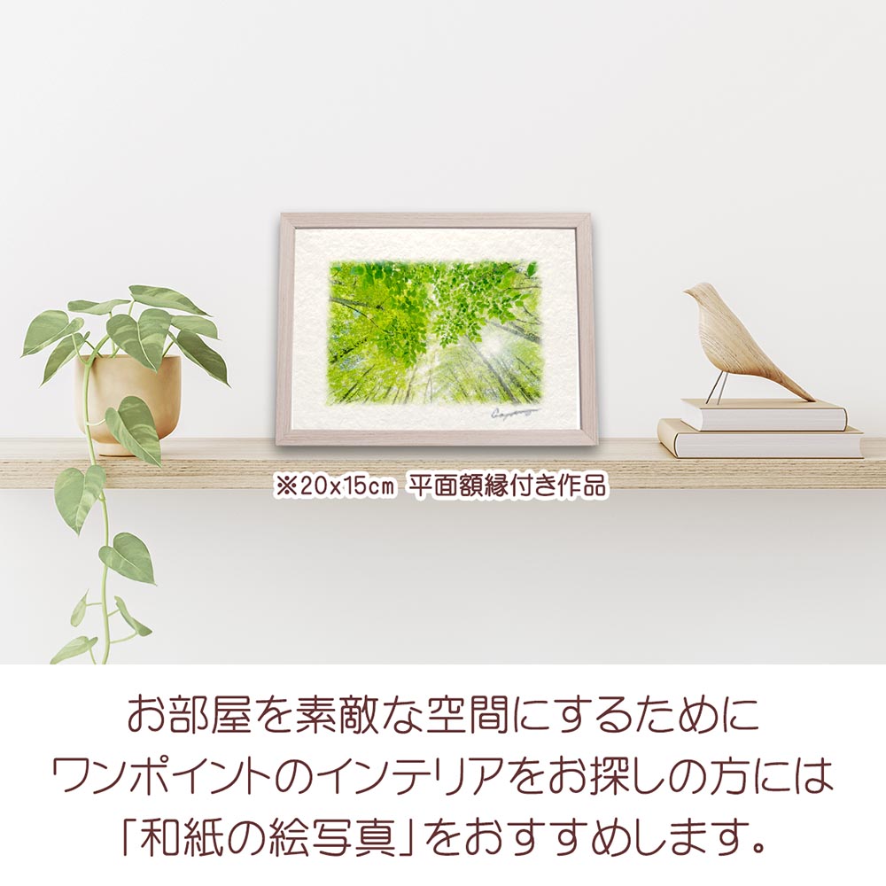 新築祝い 絵 画 和紙の絵写真 「太陽と新緑の雑木林と若葉」 夏 木 森