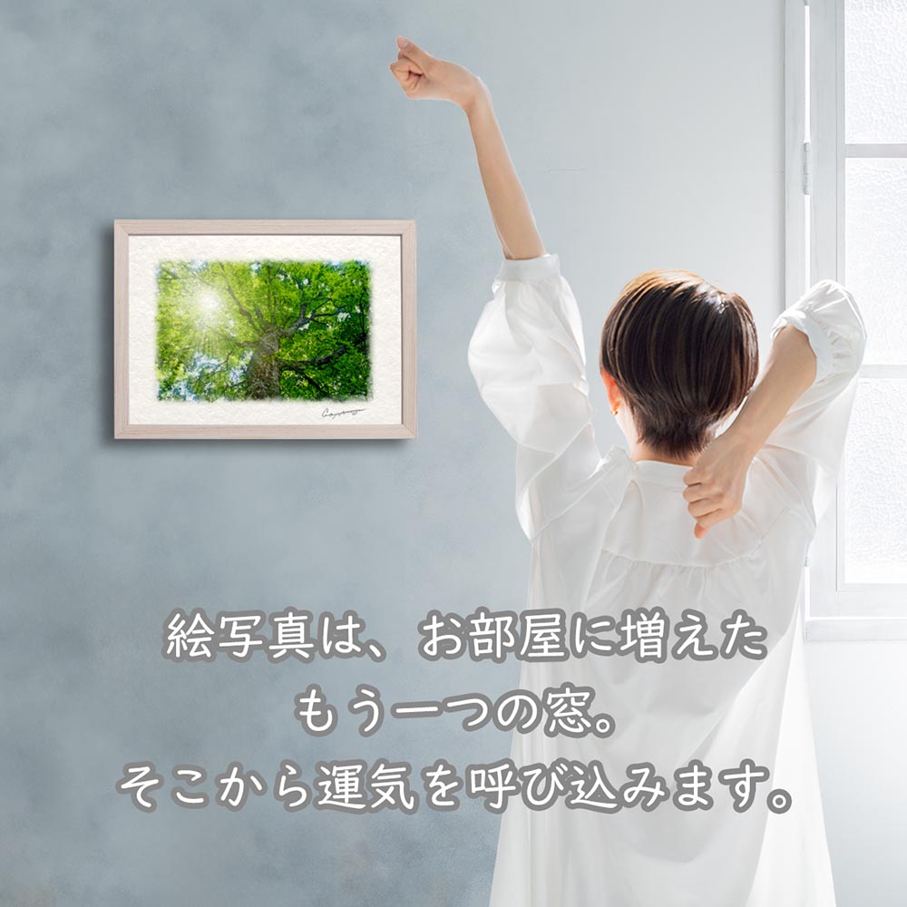 風水 玄関 絵画 絵 インテリア アートパネル 風景画 夏 緑 木 森 和紙