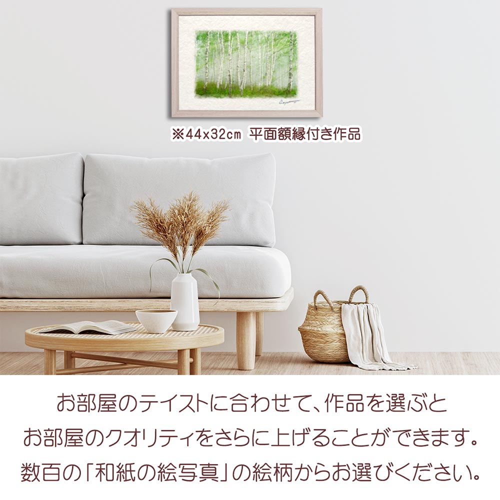清水晶一・秋の白樺林 油絵 絵画 裏書有 インテリア 置物 オブジェ 掛軸 清水晶一・秋の白樺林 油絵 絵画 裏書有 インテリア 置物