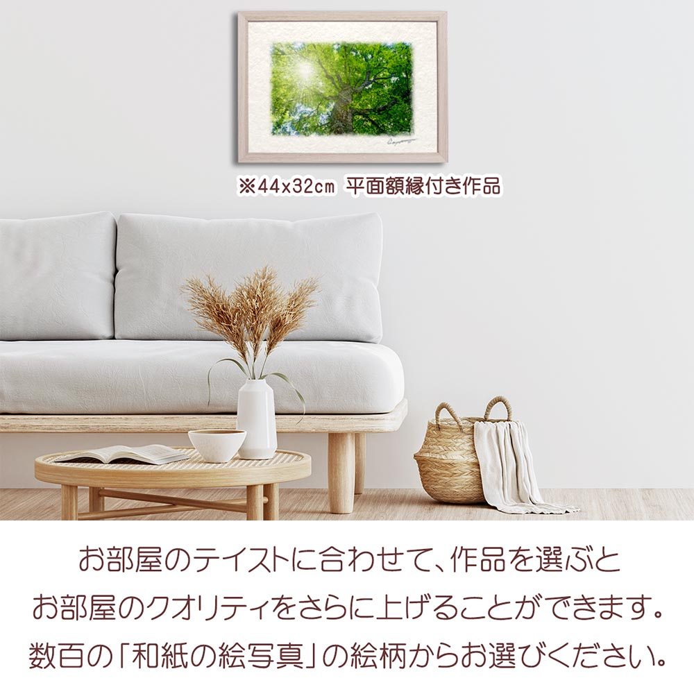 風水 玄関 に 飾る 絵 画 和紙の絵写真 「木漏れ日と新緑のブナ