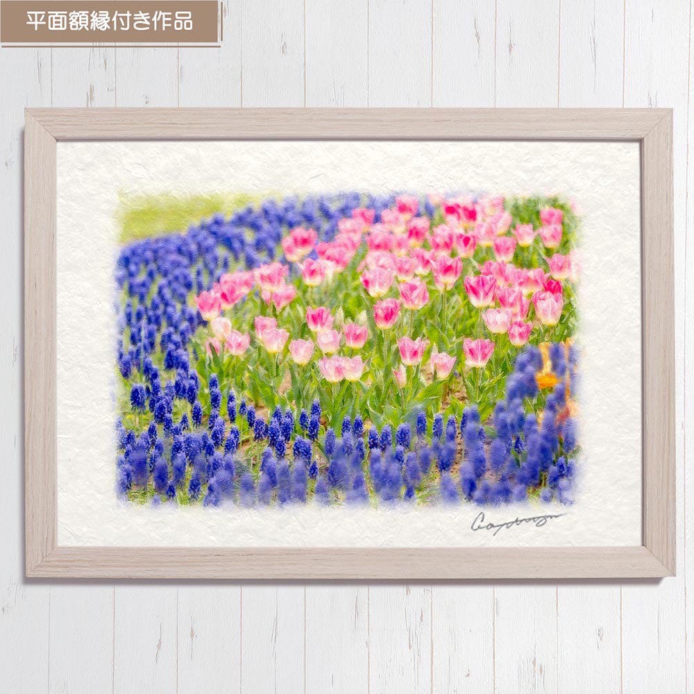 和紙の絵写真 「青いムスカリとピンクのチューリップの花畑