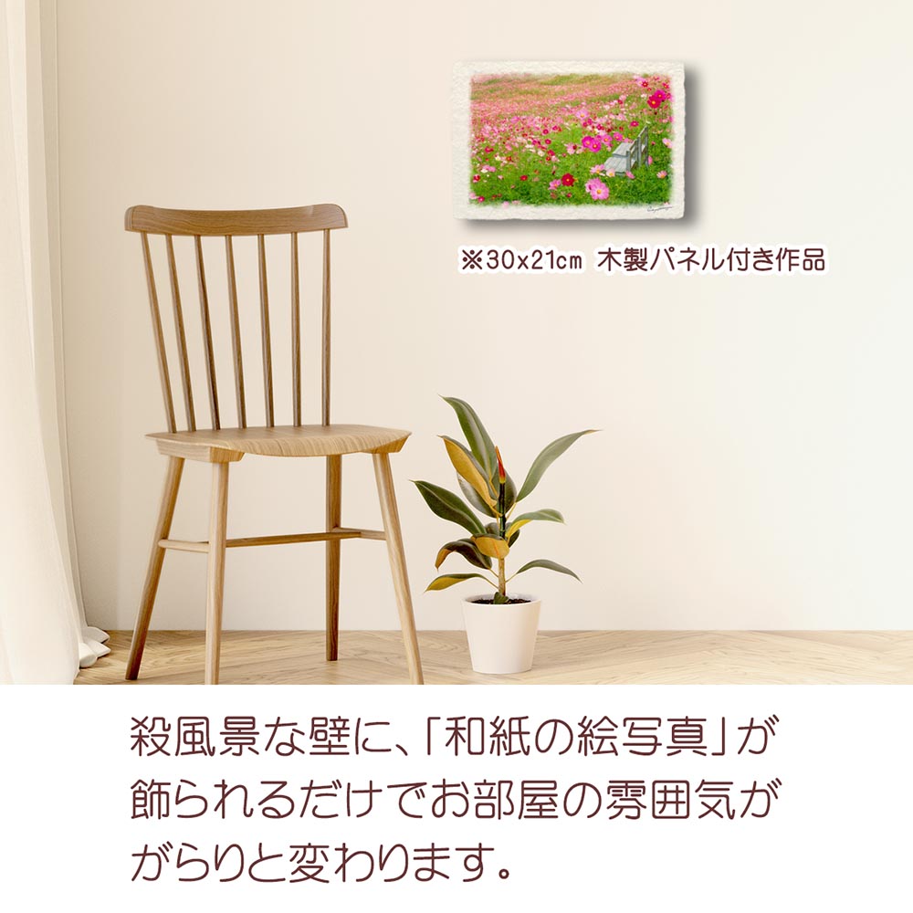 和紙の絵写真 「一面のコスモス畑の白い椅子」 絵画 インテリア 玄関