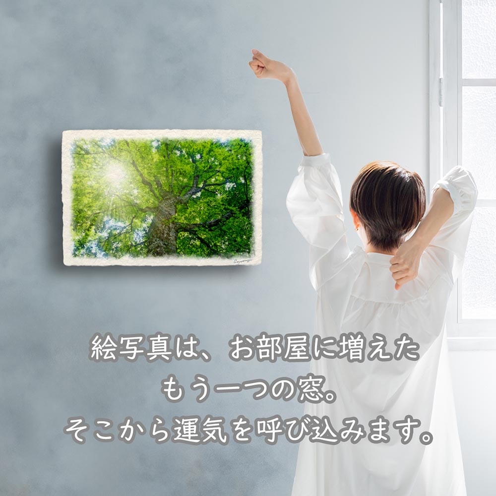風水 玄関 絵画 絵 インテリア アートパネル 風景画 木 森 夏 緑 和紙