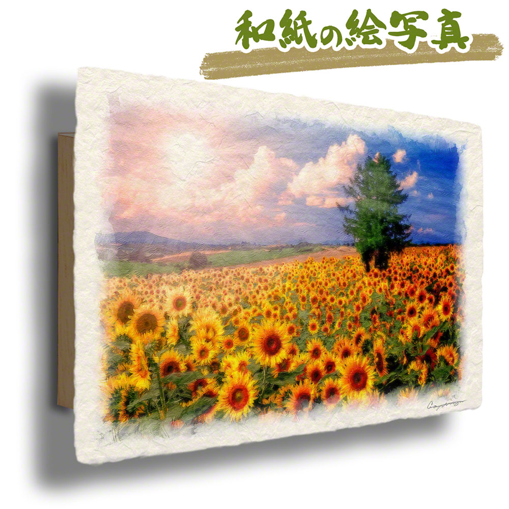 風水 玄関 絵 金運 絵画 トイレ 和紙の絵写真 黄色 夏 花 「太陽とひまわり畑の丘とカラマツの木」｜natum