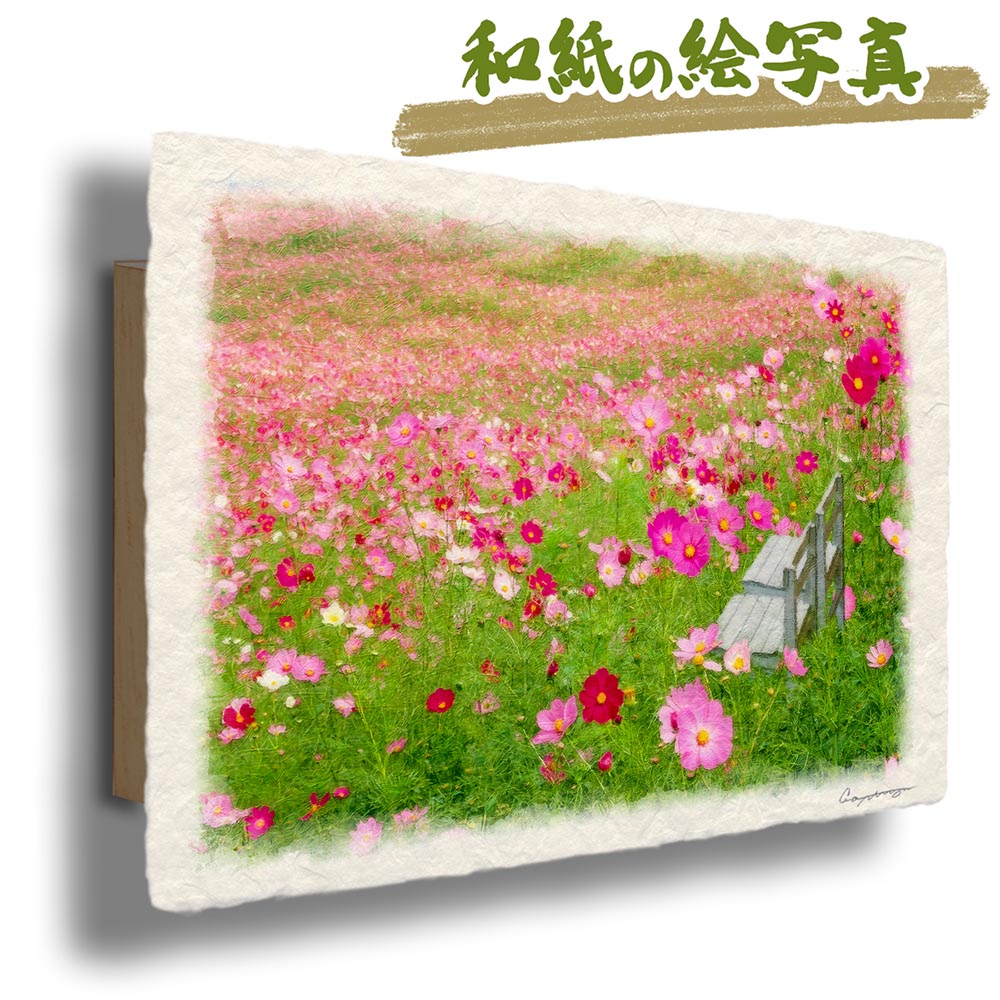 風水 玄関 絵 金運 絵画 トイレ 和紙の絵写真 花 秋 ピンク 一面のコスモス畑の白い椅子 4vztfg8dj3 Etechprofessionals Org 風水 玄関 絵 金運 絵画 トイレ 和紙の絵写真 花 秋 ピンク 一面のコスモス畑の白い椅子 4vztfg8dj3 Etechprofessionals Org