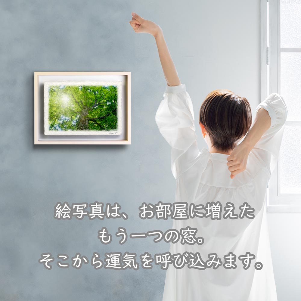 ムツゴロウ 絵のおすすめ人気商品一覧 通販 - Yahoo!ショッピング