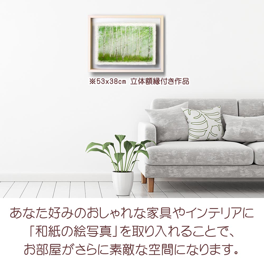 絵画　自然　白樺　花　草木　グリーン　額縁付き　美術品インテリア　森　シラカバ 和紙の絵写真 「霧の新緑の白樺林と木漏れ日」 絵画 インテリア