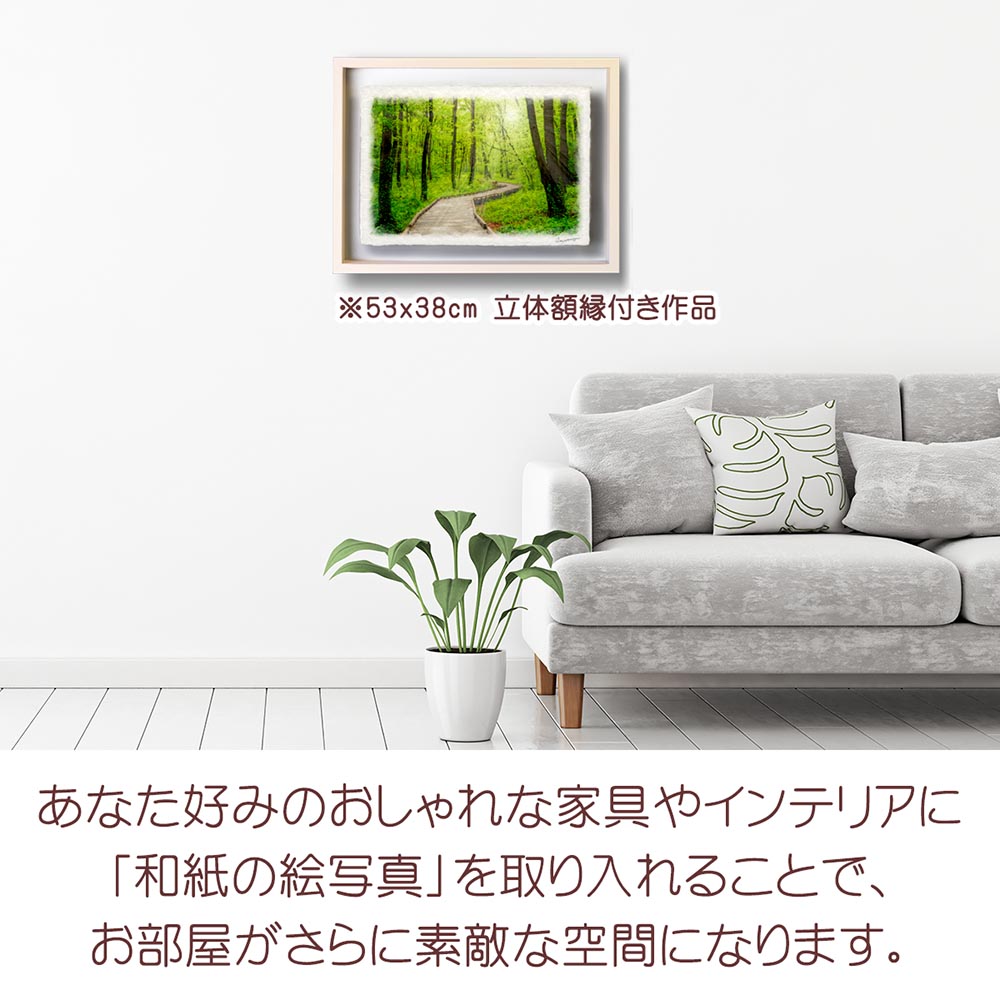 和紙の絵写真 「雨上がりの新緑の木道」 絵画 インテリア 玄関 風景画