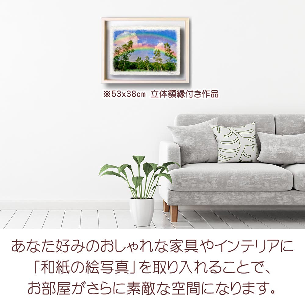 虹の絵 風水 虹の橋 和紙の絵写真 「虹と入道雲と白樺林」 夏 木 森 山
