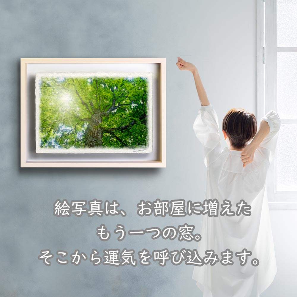 風水 玄関 絵画 絵 インテリア アートパネル 風景画 木 森 夏 緑 和紙