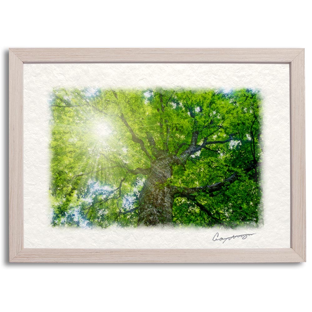 風水 玄関 絵画 絵 インテリア アートパネル 風景画 夏 緑 木 森 和紙
